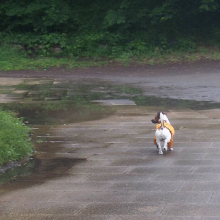 Ab89676d a201 4d9f 9be1 24095c15ce92