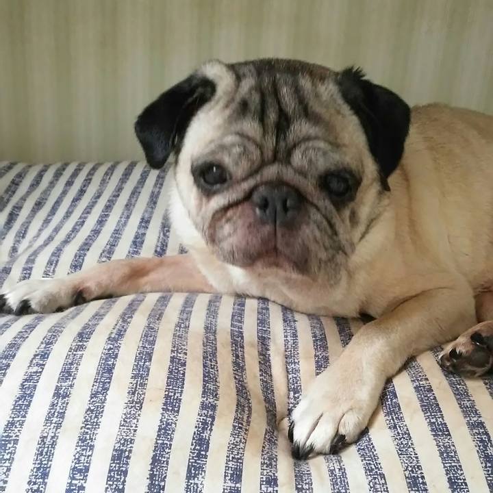 Ab896830 53fa 4afe 91b2 c60dea9de882