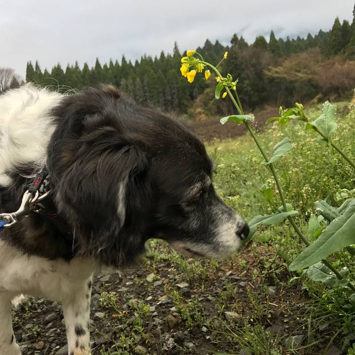 Ab8aa117 409e 49cc ae2f 6f1a82d6f7d9