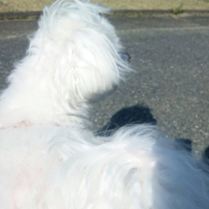 Ab8ae9fb d3e9 480a 8e23 eda323b41ff4