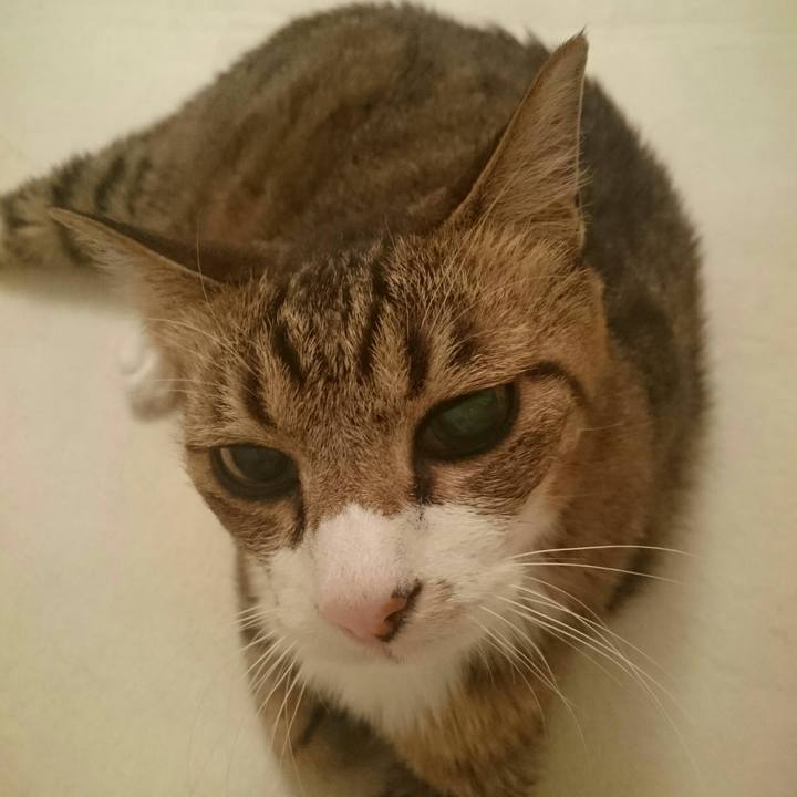 Ab8b7f97 f276 4e32 ad74 ee75208e728a