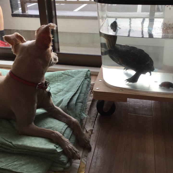 Ab8b8ffd a1d0 4c80 9a13 47088f4b02ea