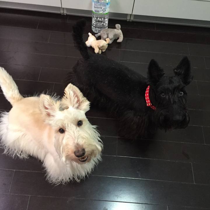 Ab8ba313 0a56 4b4c 942b 210863421192