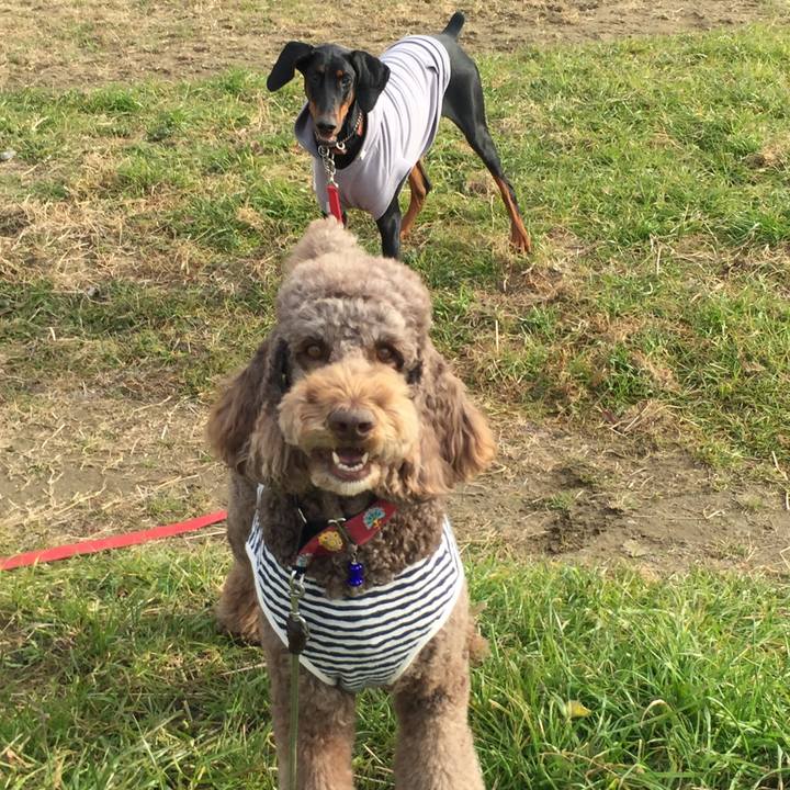 Ab8c844f 7f6a 4424 9cbe 269beff6aaf6