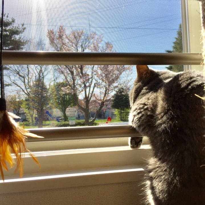 Ab8cb126 9380 4fb3 bb52 039e648c0b9c