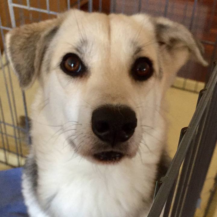 Ab8cdf77 87d3 48fd a1c3 f67fa1fc34b1