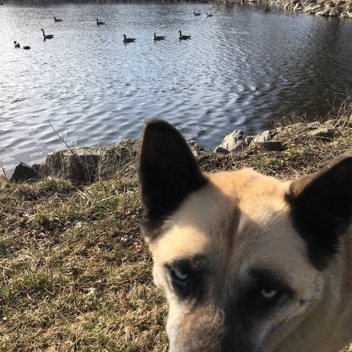 Ab8ce744 e537 45af aac0 f1793dac0fc3