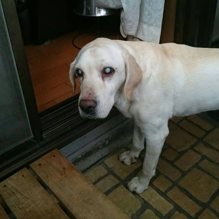 Ab8d04ee 2998 4fc4 a0a7 72aa385457b3