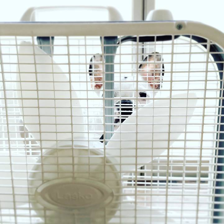 Ab8dffc9 ee58 4397 9f40 46bc6ff1fcf7