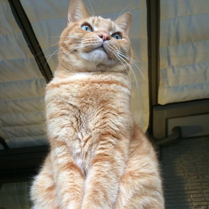 Ab8ec919 930a 424c 9f66 781a1e6bf26b