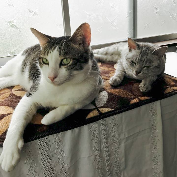 Ab8f25e5 33f5 48e2 945e 35d32d5ae45d