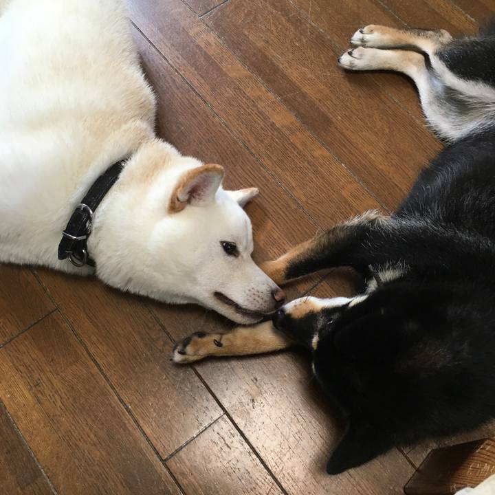 Ab8f9c8f e772 4483 892e 5406a52ad9a7