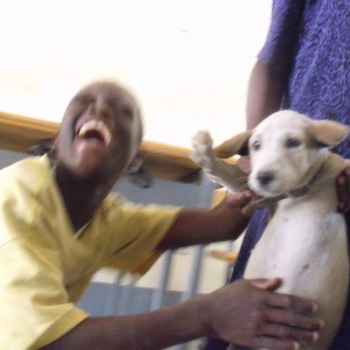 Ab905dd5 658b 4c45 9772 2988b8dd7ae2