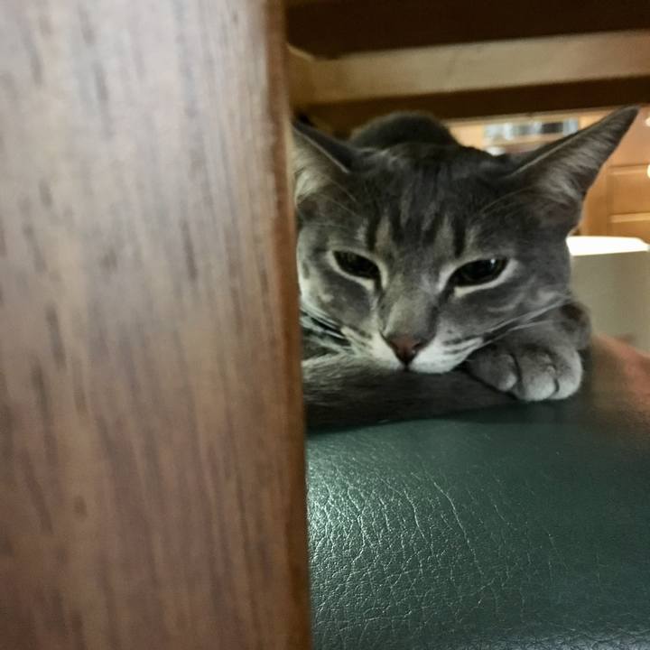 Ab909af5 17cb 4728 b386 411a1a992d9e