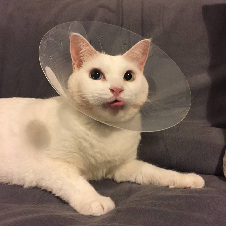 Ab92487c f40d 47fe bec8 a56b9114dd75