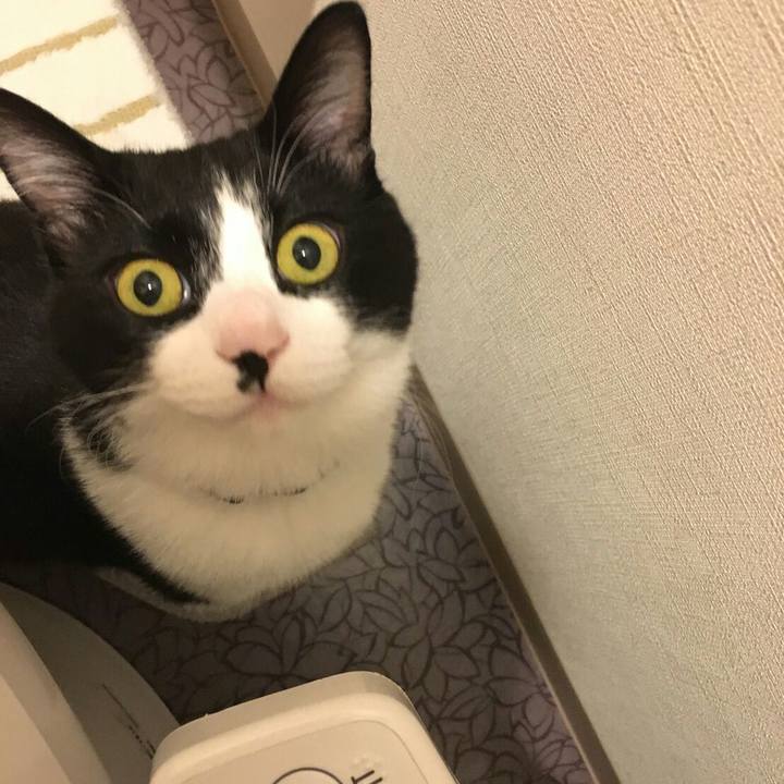 Ab926550 2fc2 48e4 a77c f0c62c71cafb