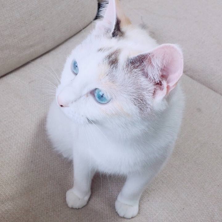 Ab9334a7 c053 4ff7 8833 226cbbe0b166