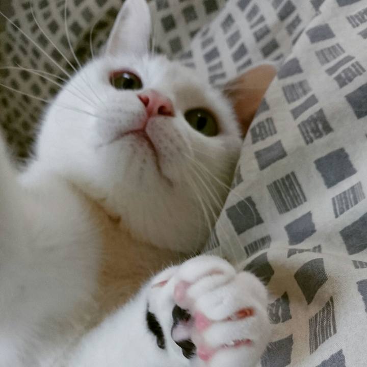 Ab93710b 9efd 4291 b3e4 457ec2039e8e