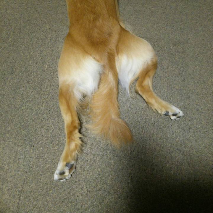 Ab9371ef 657d 46f7 94b2 82d5893709d6