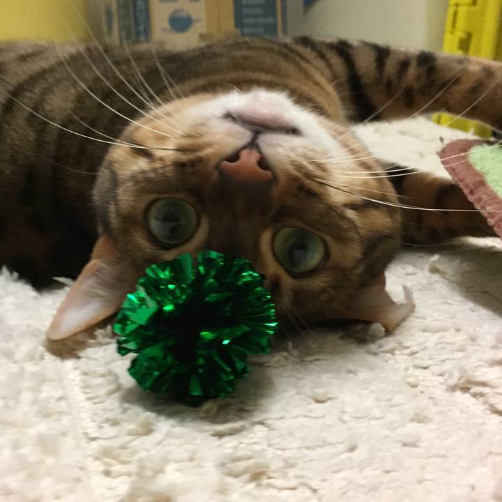 Ab939131 6219 4d87 bff9 782402082578