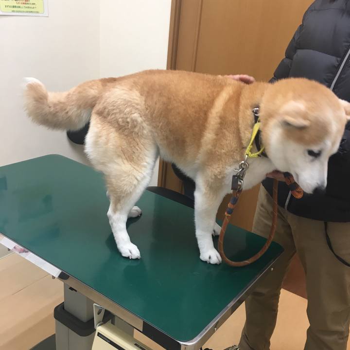 Ab93f5f1 689c 4537 adaa 218748230ee6