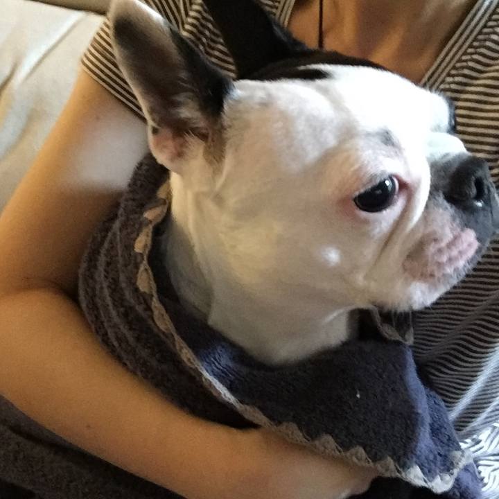 Ab93ff70 b852 43f6 bca3 d97be20c72d4