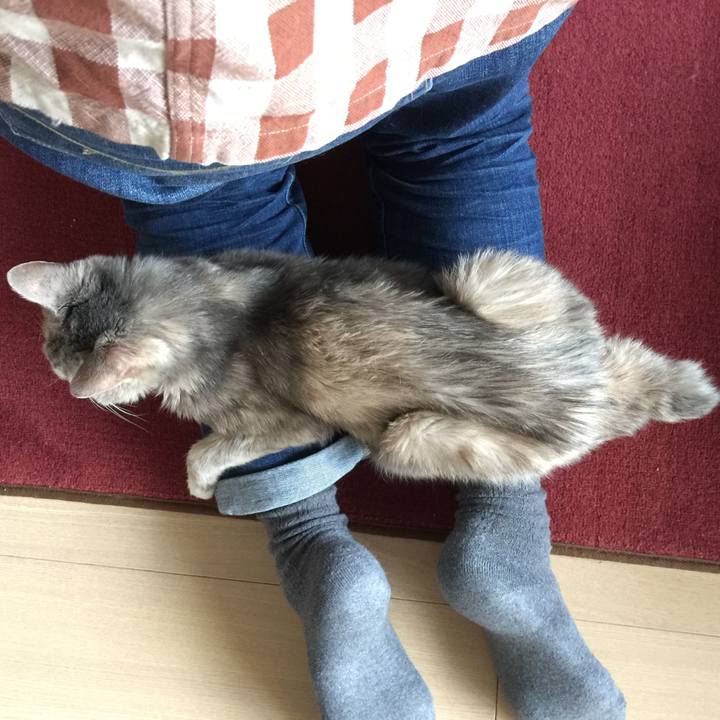 Ab940f52 6b3d 4fc4 b75e ef39f2b319a5