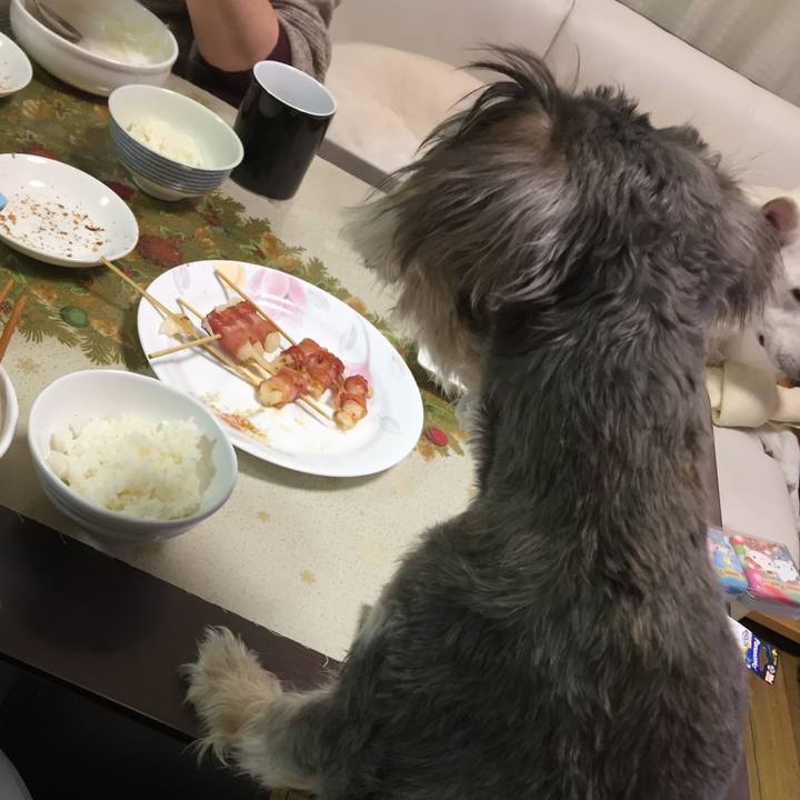 Ab943bce 5b18 458c b79e 681acf460ab5