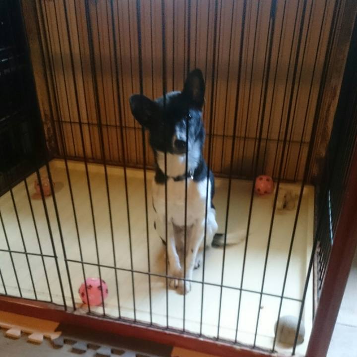 Ab94467a 3f00 4041 9f18 82dd5192564c