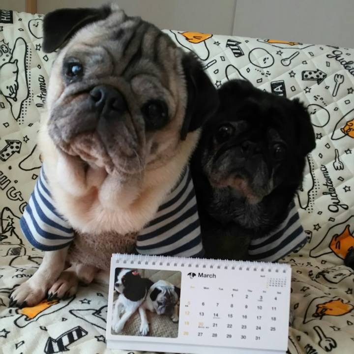 Ab94ed11 1c8e 4dca a06f ce9ce55fe4f6