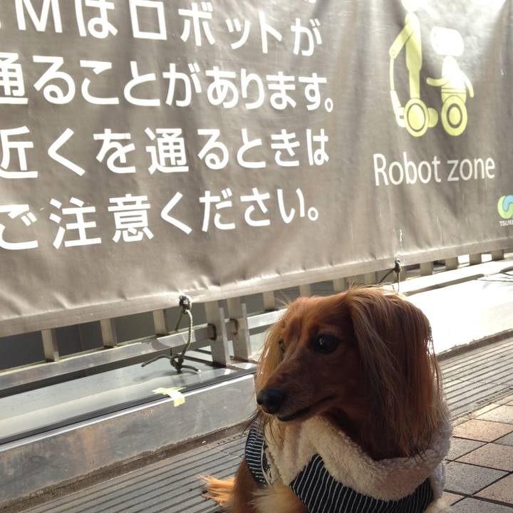 Ab950dcd 0067 49d3 a773 0d9458a2147f