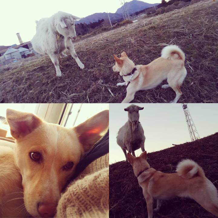 Ab969496 3847 46db a777 ebc625c32c2a