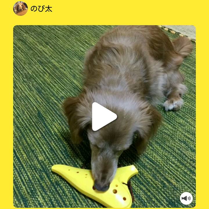 Ab9696f0 cf24 4410 9a14 ce7e4b72133c