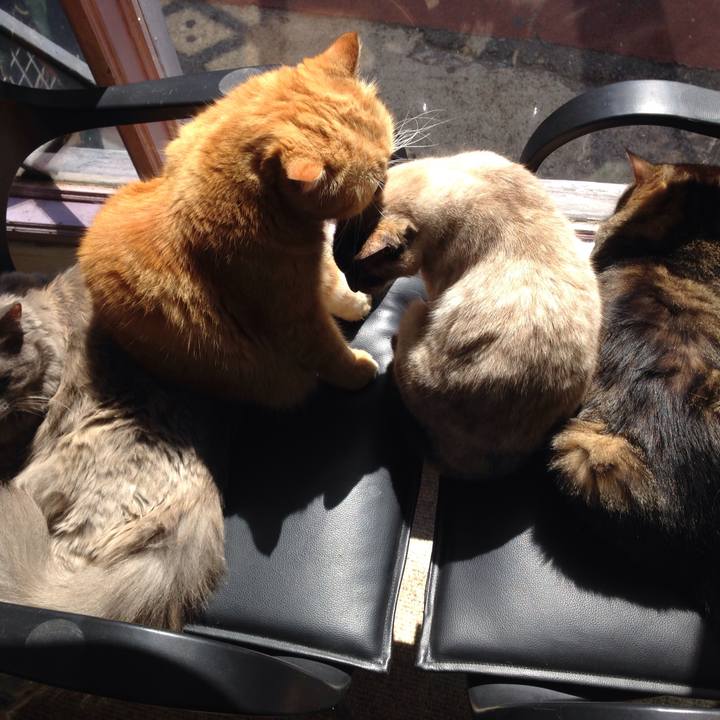 Ab96b424 50e6 4ec2 bcca 0a203f8a82e9