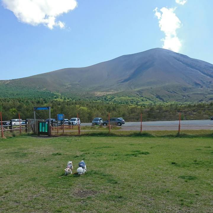 Ab96be5e bffe 40fb 8620 c5c50686944a