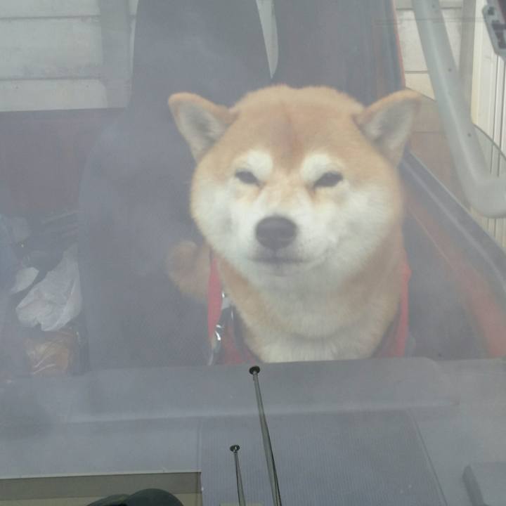 Ab972b2b b659 49ed 969f 1a44433ed8fe