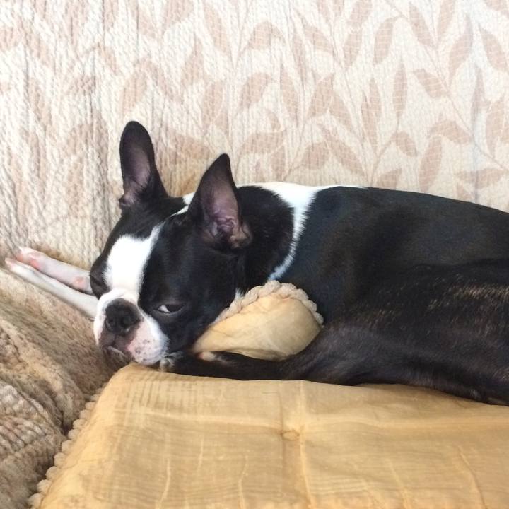 Ab9797e2 a167 4505 8a7f 64c53f7dd8b3