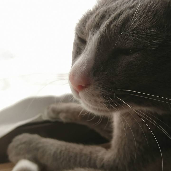 Ab983e37 5d87 4703 ad8f 4bae31a5c49b