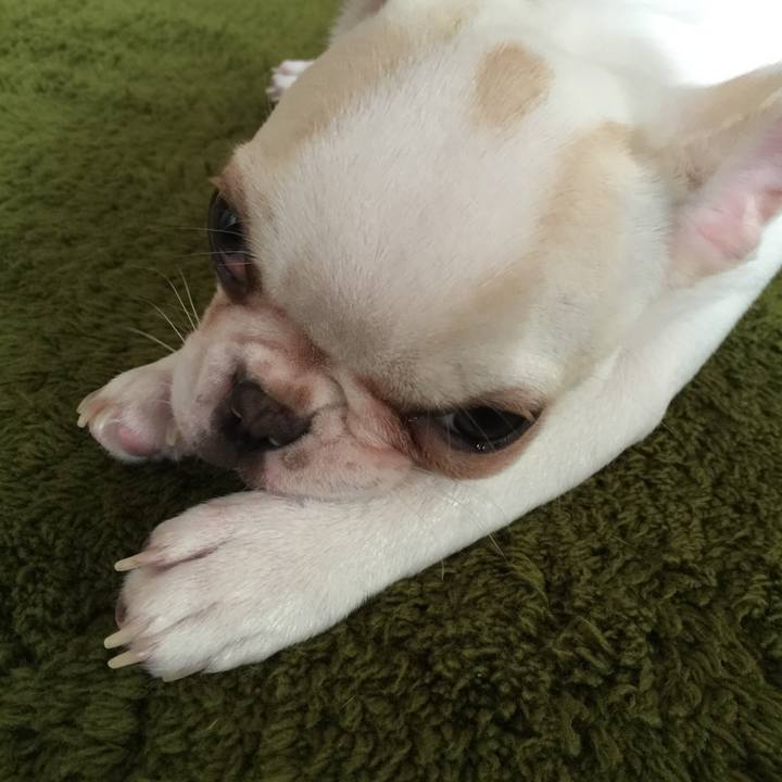 Ab99dfb4 e668 4082 9611 587289000b3e