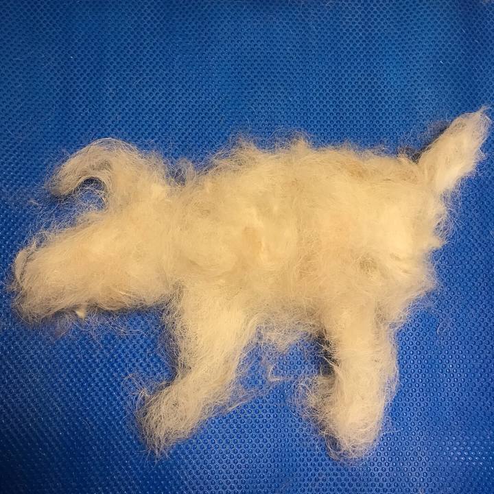 Ab9a751d 3ac6 4d8a a93b 0ad261366198