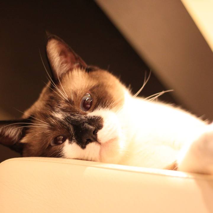 Ab9b596d c027 43fa 8d8b bf3021033045