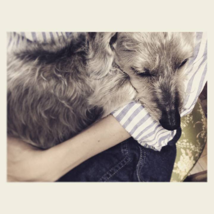 Ab9b7dff af5e 40c0 a0e5 5f8efee8f28d