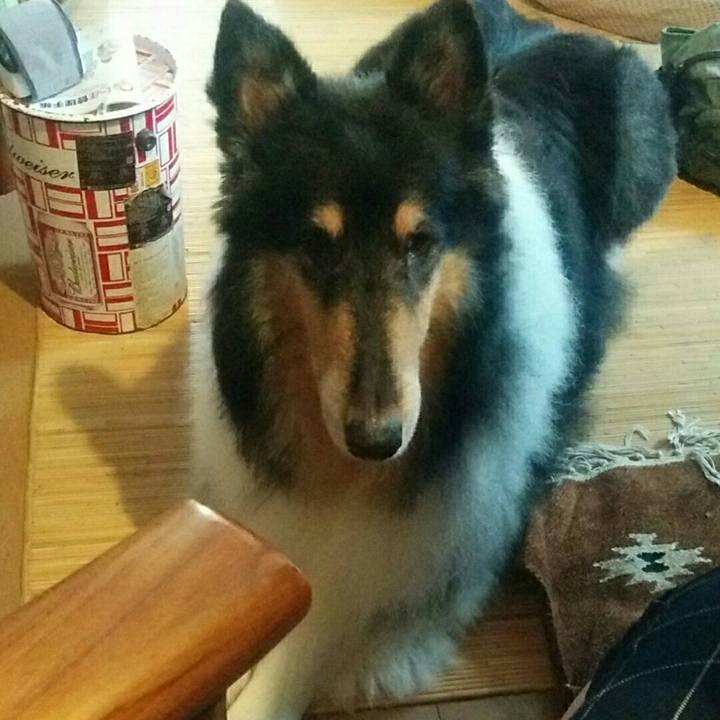 Ab9b9ea1 ae41 4145 b23a 68c3bbab7b1c