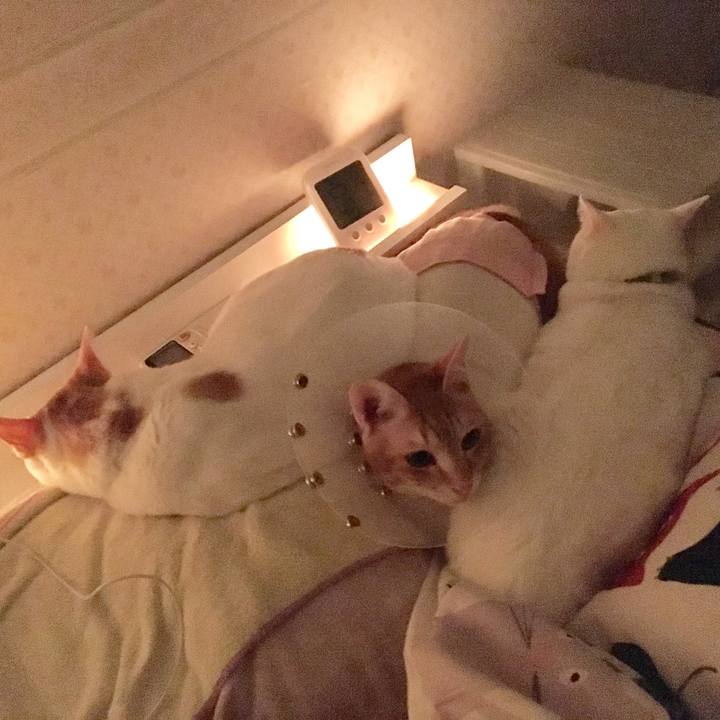 Ab9c2fab 28b3 4b87 b0f4 de90937c571c