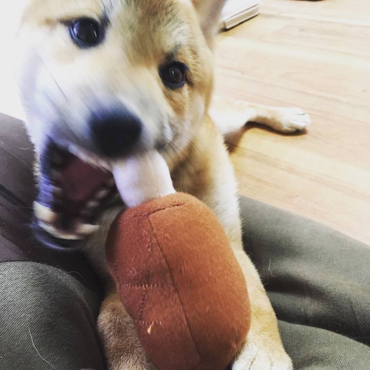 Ab9cc25f d4fa 4cd4 9595 5b89b11e3029