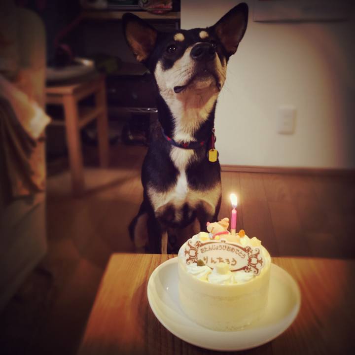 Ab9ce332 228b 424c 8398 1ab0b8b5a735