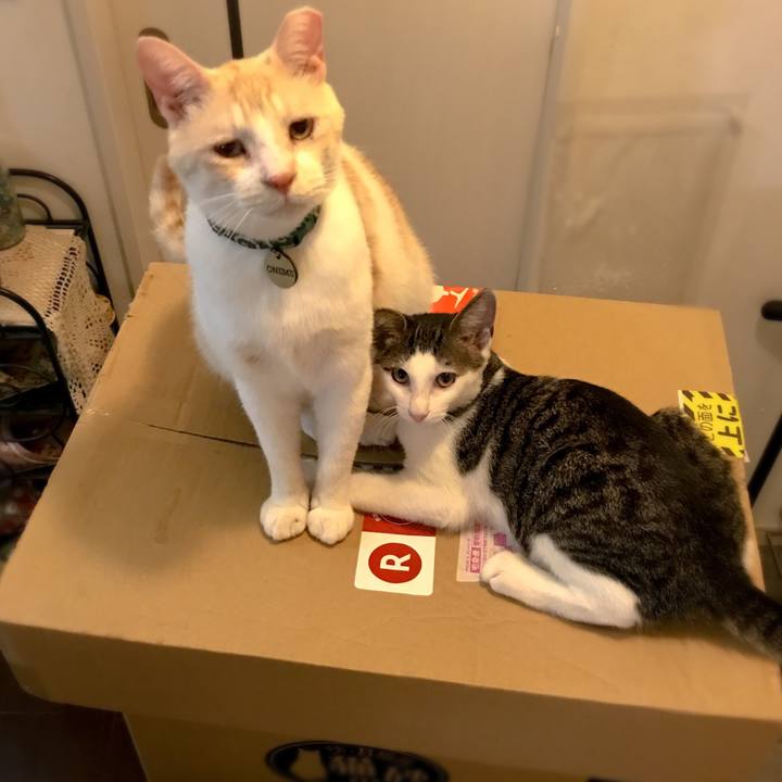 Ab9cfddb 8edb 48be afe5 2d752d28520b