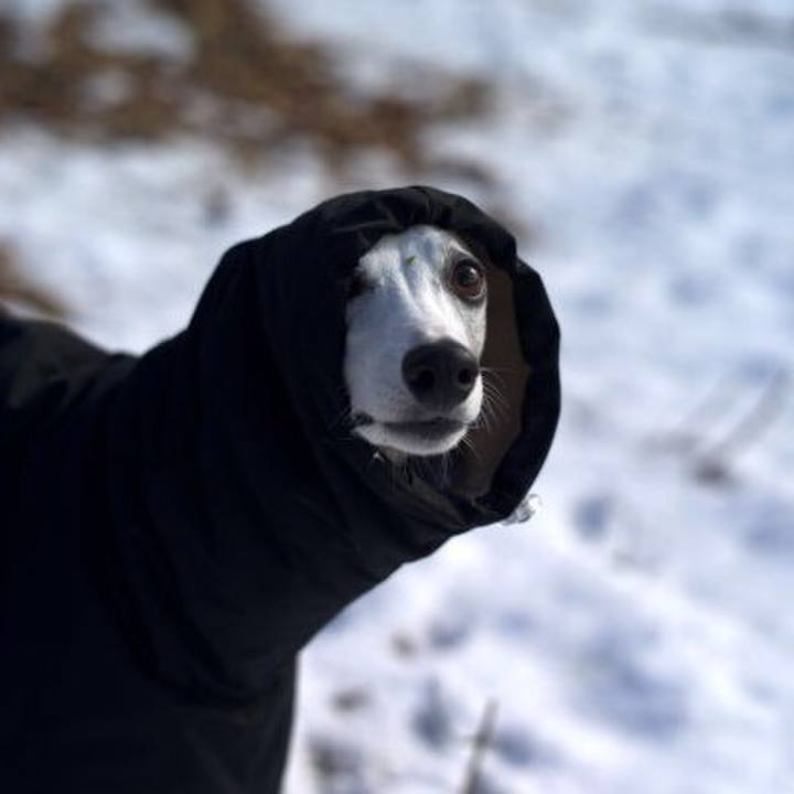 Ab9d0bb1 32af 4823 b08e 70f6ce4adf51