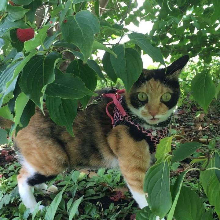 Ab9d1a8c c49a 4833 83f6 807fe36a628e