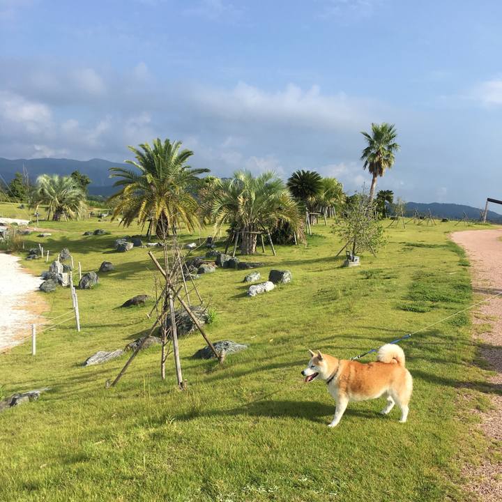 Ab9dc9af 0c08 45b4 8c2e 343b009d4895